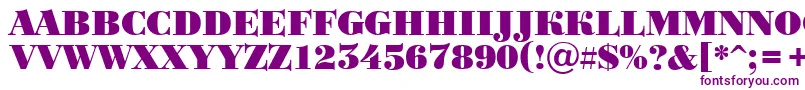BodoniortotitulBlack Font – Purple Fonts on White Background