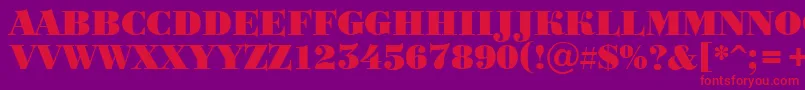 BodoniortotitulBlack Font – Red Fonts on Purple Background