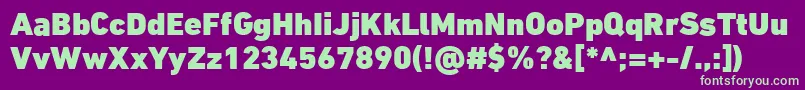 DinNextLtArabicBlack Font – Green Fonts on Purple Background