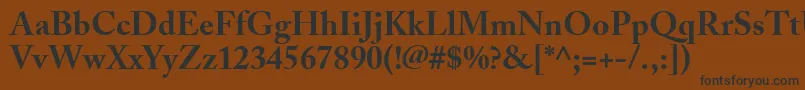 AdobeCaslonBold Font – Black Fonts on Brown Background