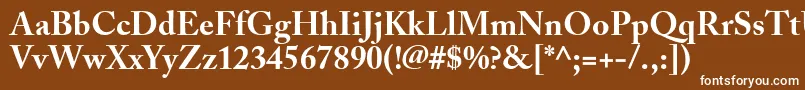 Czcionka AdobeCaslonBold – białe czcionki na brązowym tle