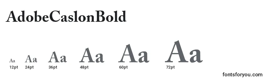 AdobeCaslonBold Font Sizes