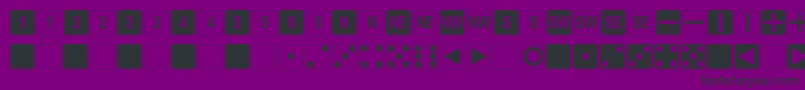 DpolySixSider Font – Black Fonts on Purple Background