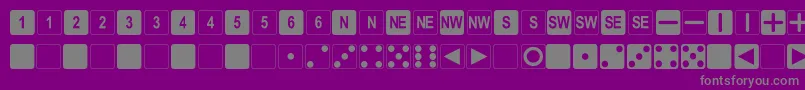 DpolySixSider Font – Gray Fonts on Purple Background