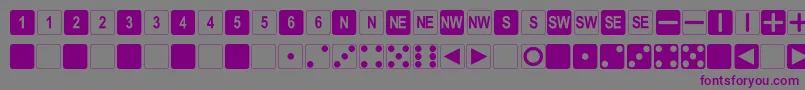 フォントDpolySixSider – 紫色のフォント、灰色の背景