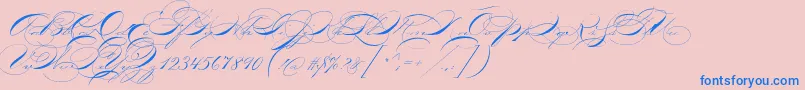 P22zanerthree-Schriftart – Blaue Schriften auf rosa Hintergrund