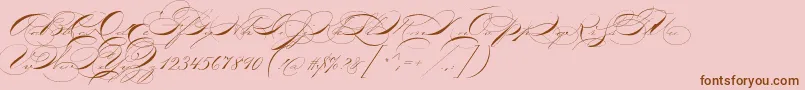 P22zanerthree Font – Brown Fonts on Pink Background
