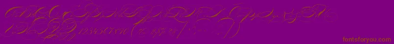 P22zanerthree Font – Brown Fonts on Purple Background