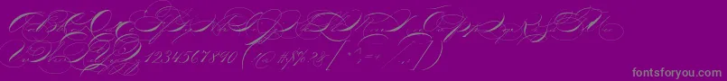 P22zanerthree Font – Gray Fonts on Purple Background