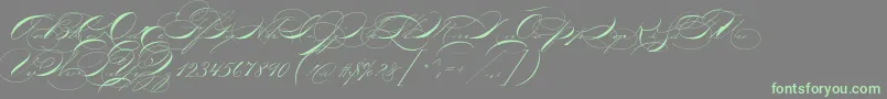 P22zanerthree Font – Green Fonts on Gray Background