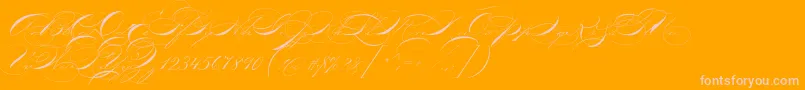 P22zanerthree-fontti – vaaleanpunaiset fontit oranssilla taustalla