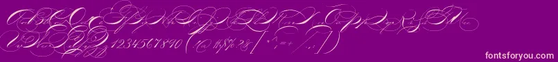 P22zanerthree Font – Pink Fonts on Purple Background