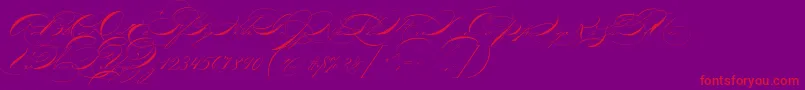 フォントP22zanerthree – 紫の背景に赤い文字