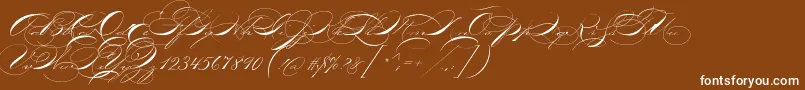 P22zanerthree Font – White Fonts on Brown Background