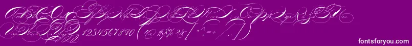 P22zanerthree Font – White Fonts on Purple Background