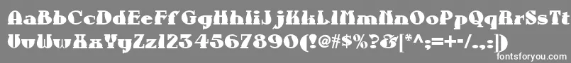 フォントAunt – 灰色の背景に白い文字