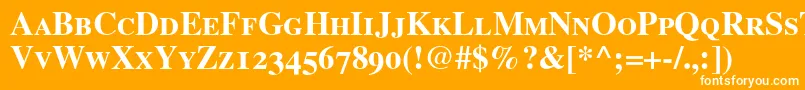 More about TimesBoldSmallCapsOldStyleFigures Font TimesBoldSmallCapsOldStyleFigures Font – White Fonts on Orange Background