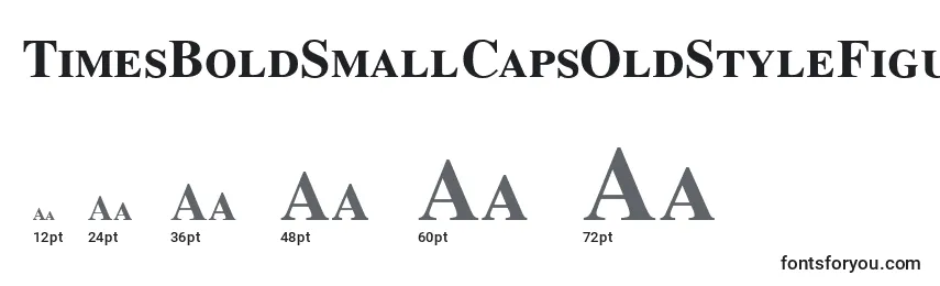 TimesBoldSmallCapsOldStyleFigures Font Sizes