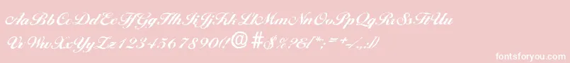 BallantinesantiqueXboldRegular Font – White Fonts on Pink Background