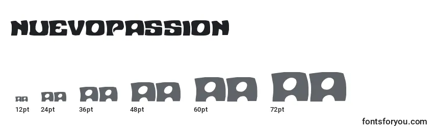 Размеры шрифта Nuevopassion
