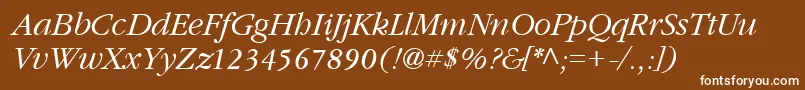 Шрифт GarnetItalic – белые шрифты на коричневом фоне