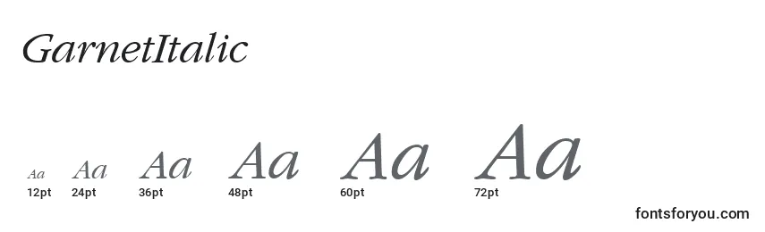 Размеры шрифта GarnetItalic