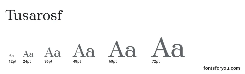 Размеры шрифта Tusarosf