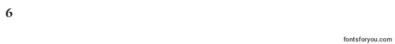 DragonserialBolditalic Font – Fonts for Digit 6