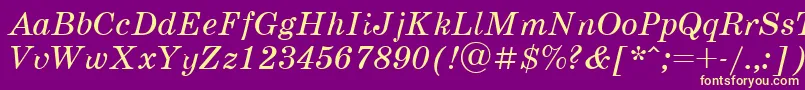 Schoolbookv.KzItalic Font – Yellow Fonts on Purple Background