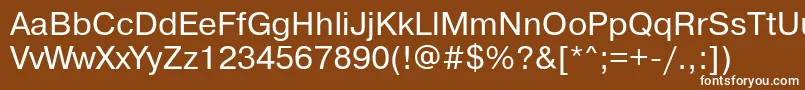 Prg55C Font – White Fonts on Brown Background