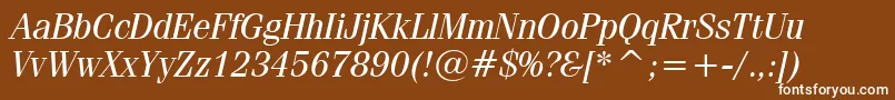 フォントFeniceRegularItalicBt – 茶色の背景に白い文字