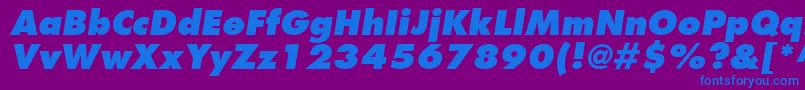 FuturaLtExtraBoldOblique Font – Blue Fonts on Purple Background