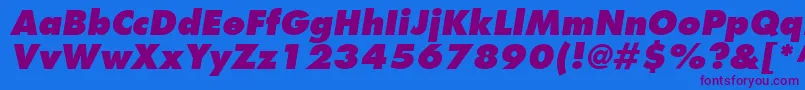 FuturaLtExtraBoldOblique Font – Purple Fonts on Blue Background