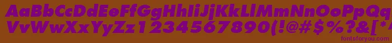 FuturaLtExtraBoldOblique Font – Purple Fonts on Brown Background