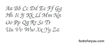 Review of the Thahuong1.1 Font