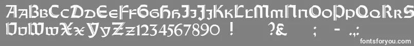 OrotundCapitalsHeavy Font – White Fonts on Gray Background