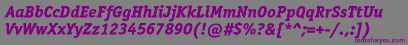 OfficinaserifextraboldcItalic Font – Purple Fonts on Gray Background