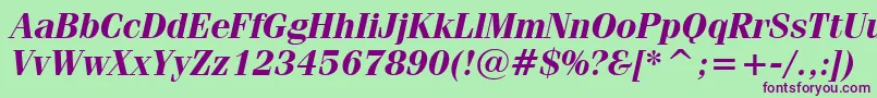 Шрифт Fenicebi – фиолетовые шрифты на зелёном фоне
