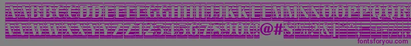 AAlbionictitulcmgrd Font – Purple Fonts on Gray Background