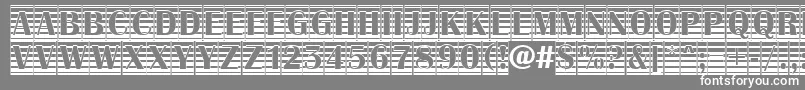 AAlbionictitulcmgrd Font – White Fonts on Gray Background