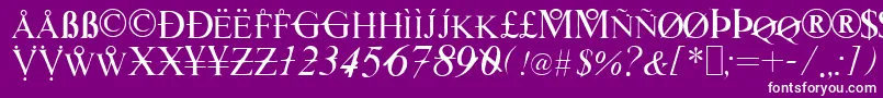 TimesHackers Font – White Fonts on Purple Background