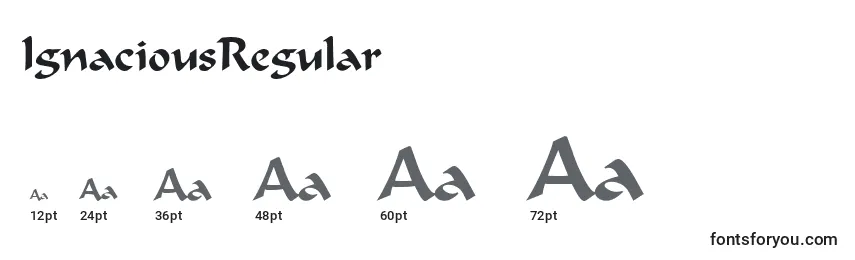 Размеры шрифта IgnaciousRegular
