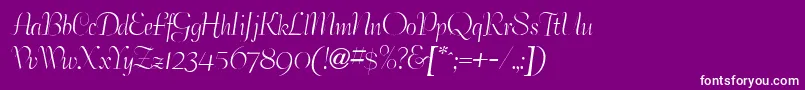 BertramdbNormal Font – White Fonts on Purple Background
