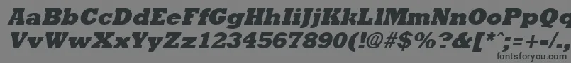 Шрифт Rockneyextrabold ffy – чёрные шрифты на сером фоне