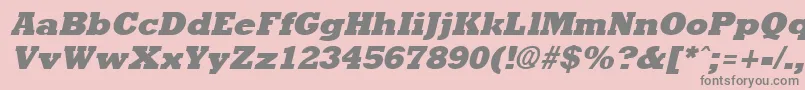 Rockneyextrabold ffy Font – Gray Fonts on Pink Background