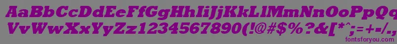 Rockneyextrabold ffy Font – Purple Fonts on Gray Background