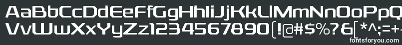 RexliargRegular Font – White Fonts on Black Background
