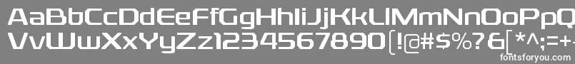 RexliargRegular Font – White Fonts on Gray Background