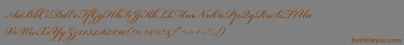 BickhamscriptstdSemibold Font – Brown Fonts on Gray Background