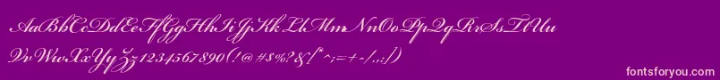 BickhamscriptstdSemibold Font – Pink Fonts on Purple Background